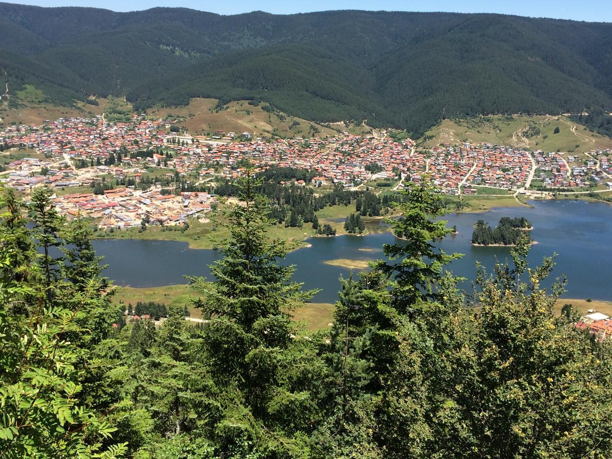 Hotel Alikante Sarnitsa Dış mekan fotoğraf
